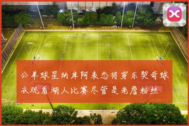 公羊球星纳库阿表态将穿东契奇球衣观看湖人比赛尽管是老詹粉丝
